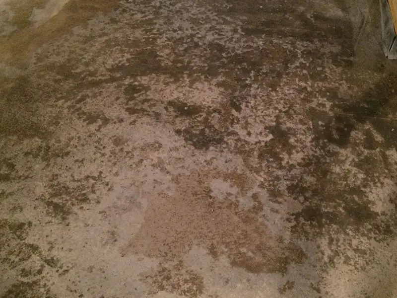 polished concrete basement floor in rye brook new york