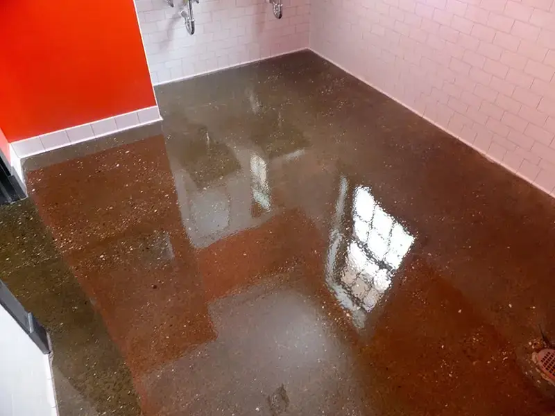 hotchkiss school polished concrete floor